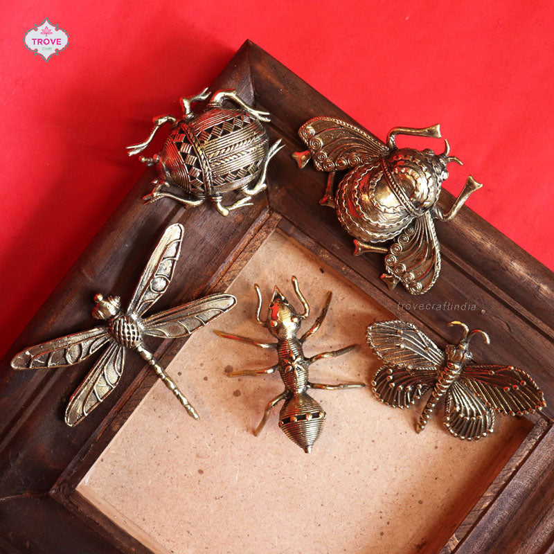 insects set