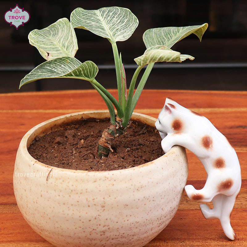 The Hanging Cat - Ceramic Decor for Garden