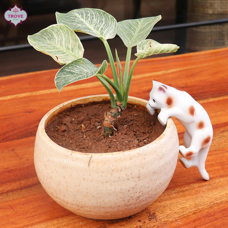 The Hanging Cat - Ceramic Decor for Garden