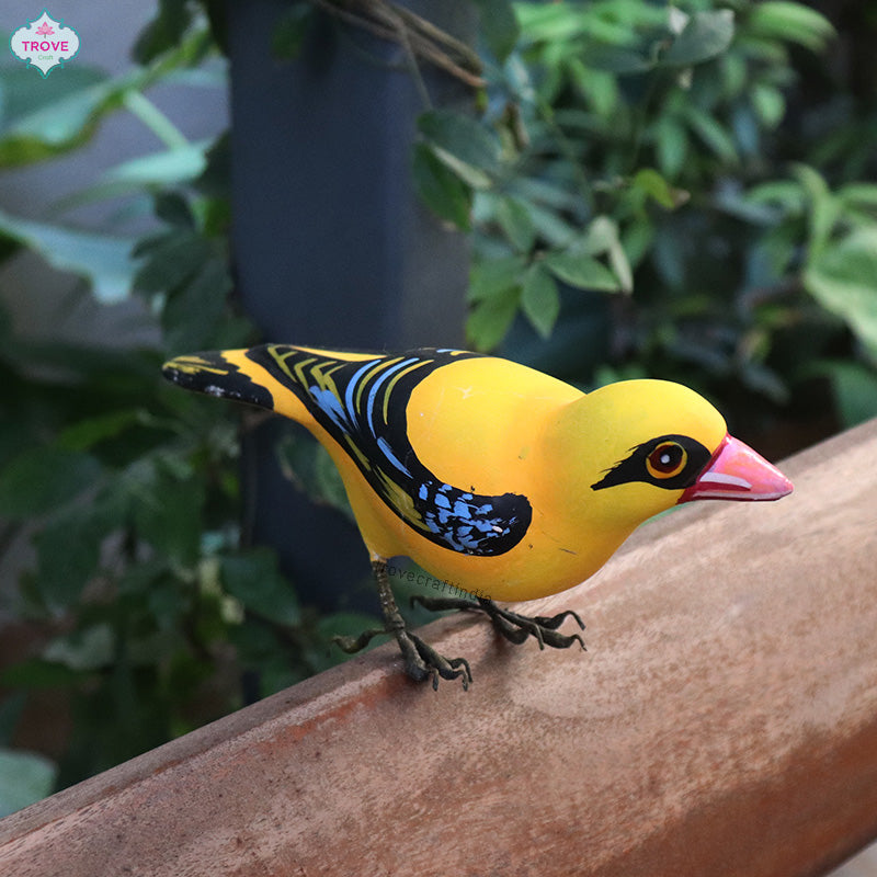 Golden Oriole Bird