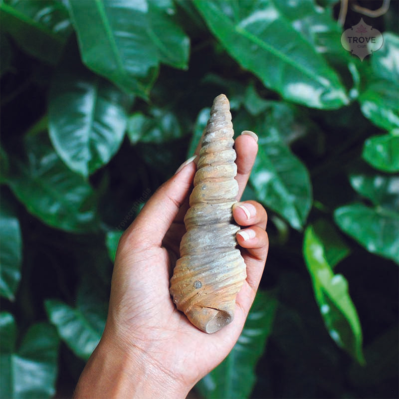 Terracotta spiral conch sea shell